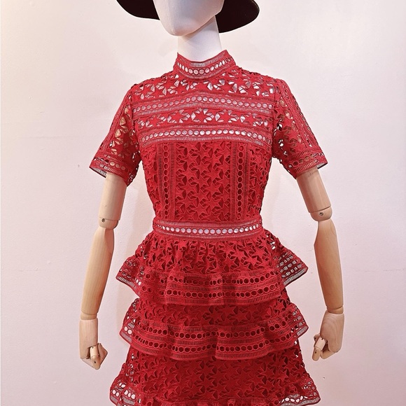 HIGH NECK STAR LACE PANELLED DRESS By Self-portrait - Picture 7 of 10